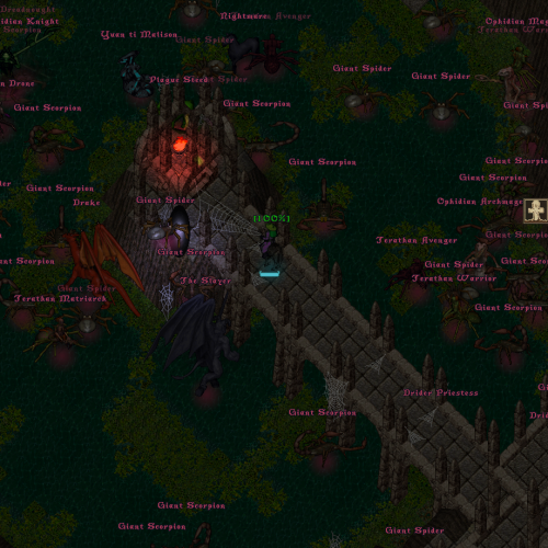 Ultima Online champion battle