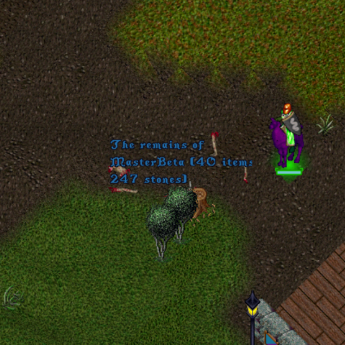 Ultima Online adventurers after battle