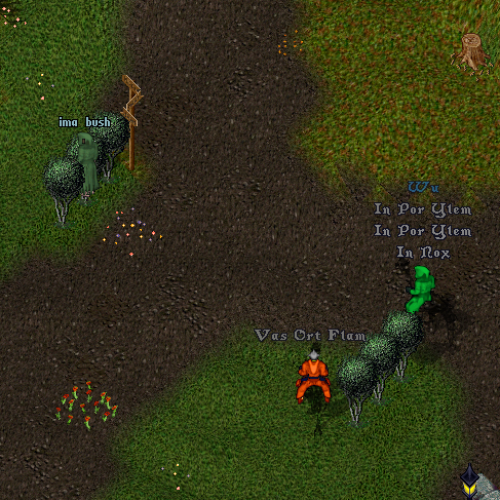Ultima Online wilderness ambush
