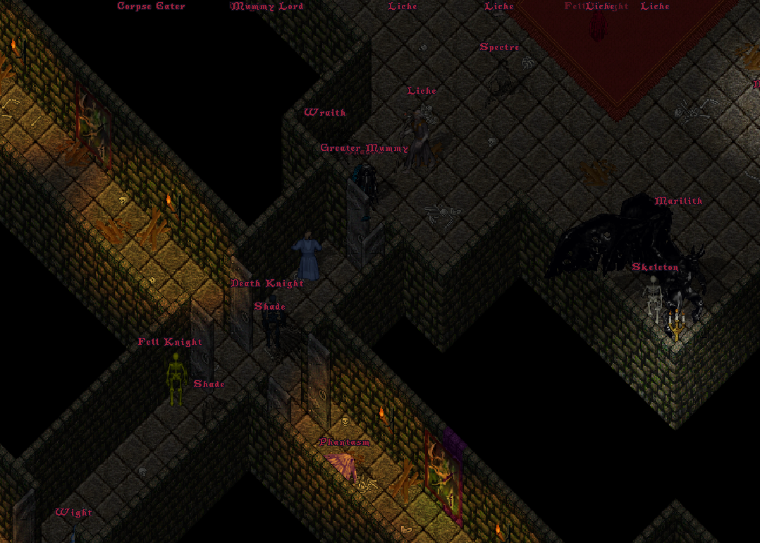 Numerous dangerous NPC variants gathered inside a dungeon