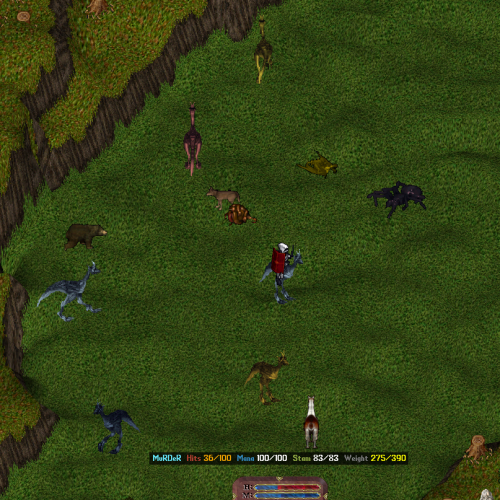 Ultima Online animal tamer